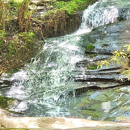 Luxury Cabin With Waterview And Privacy, Hiking 블루리지 외부 사진