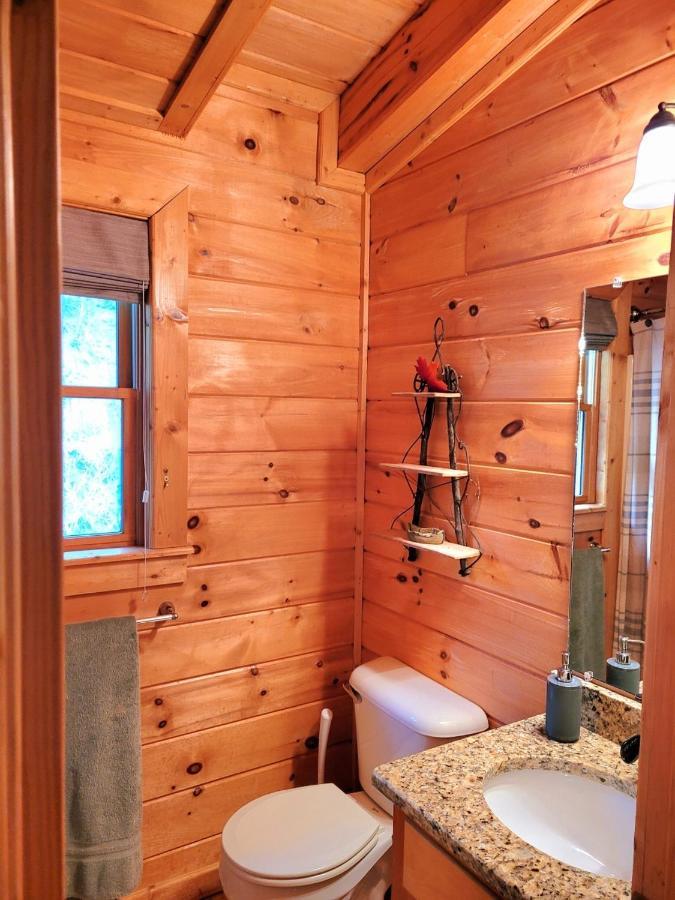 Luxury Cabin With Waterview And Privacy, Hiking 블루리지 외부 사진