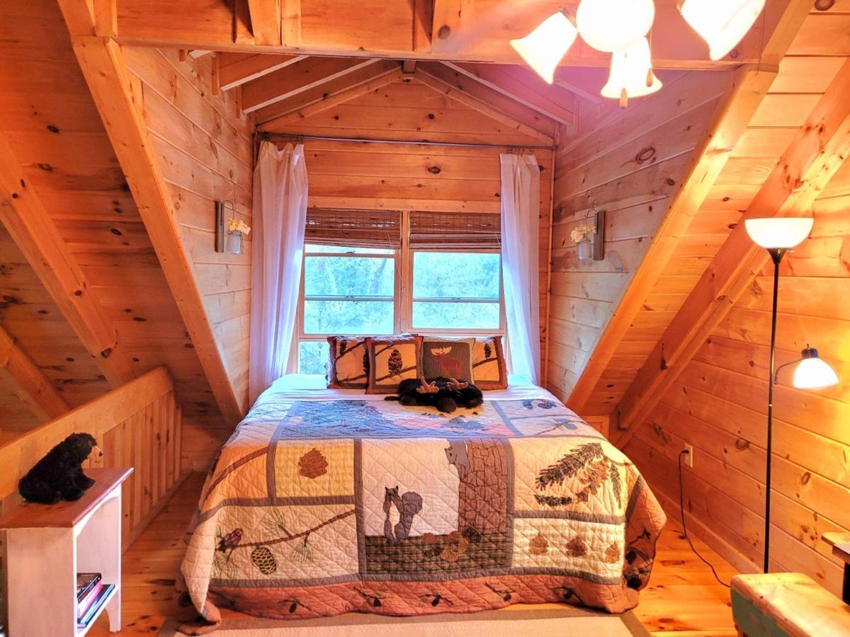 Luxury Cabin With Waterview And Privacy, Hiking 블루리지 외부 사진