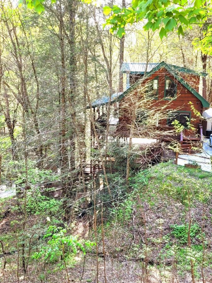 Luxury Cabin With Waterview And Privacy, Hiking 블루리지 외부 사진